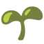 :seedling: π±